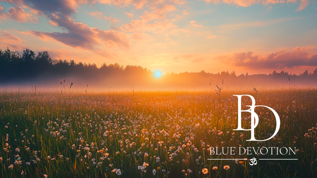 La Cohérence Cardiaque